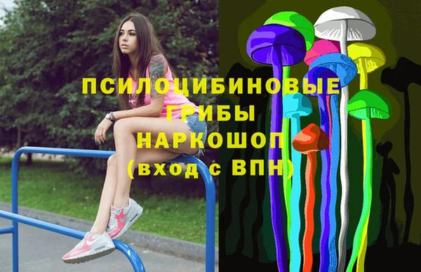 сатива Костерёво