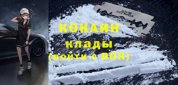 сатива Костерёво