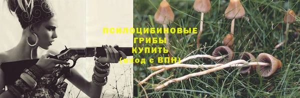 прущий лед Корсаков