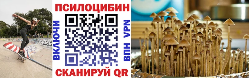Купить закладки  Заполярный  Псилоцибиновые грибы мицелий 