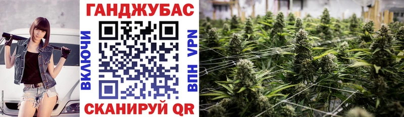 Купить  Заполярный  Канабис Ganja 